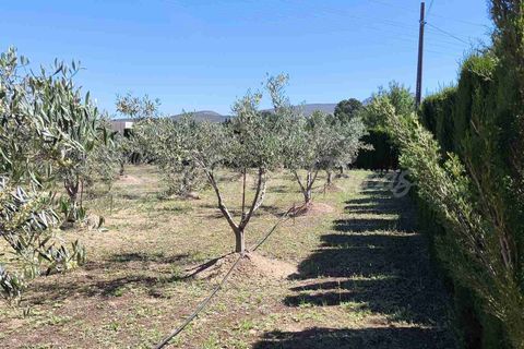 Villa i Yecla, Murcia, Yecla - € 649.000 | Ref: SF0573 - foto 44